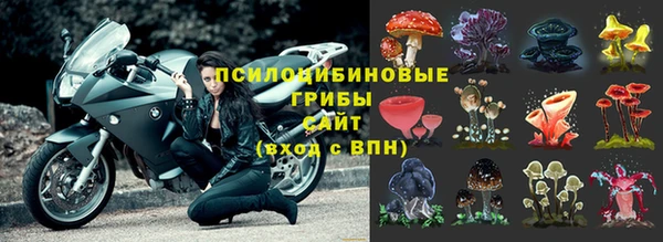 ECSTASY Михайлов