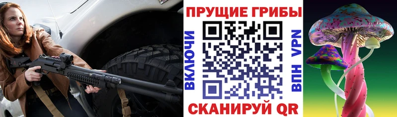 купить Кисловодск Псилоцибиновые грибы мицелий